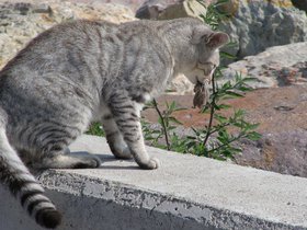 10-1001 İst (28).JPG